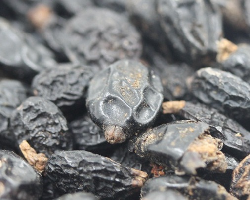 1628476405648106.jpg image.jpg