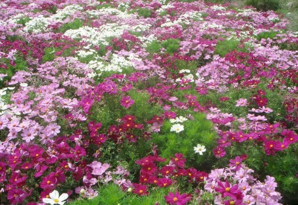 1628508131206109.jpg 1628508124.jpg