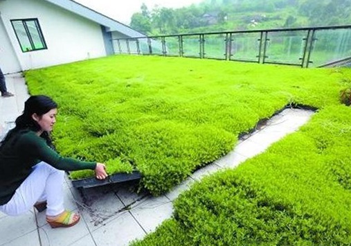 1628551968209121.jpg image.jpg