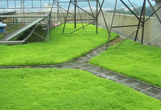 1628551981497758.jpg image.jpg