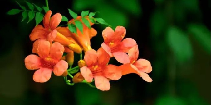 1628588376215427.jpg 1628588368(1).jpg