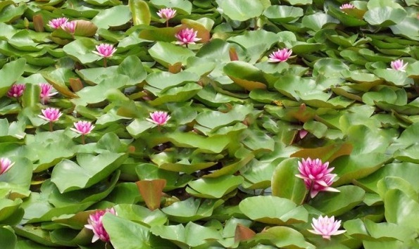 1628600555484749.jpg 1628600548(1).jpg