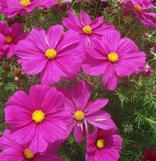 1628772260745628.jpg 1628772237(1).jpg