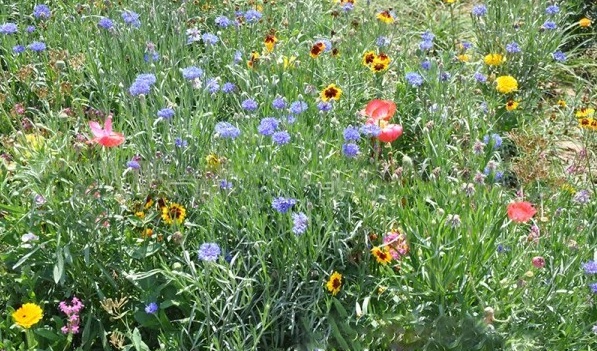 1628773463972836.jpg 1628773443(1).jpg