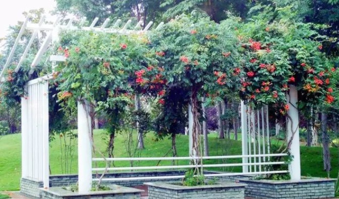 1628778404665327.jpg I9M_(IQP9[I0TM`67Y%~DMC.jpg