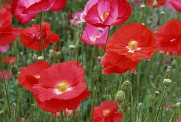 1628856517644840.jpg 1628856513.jpg