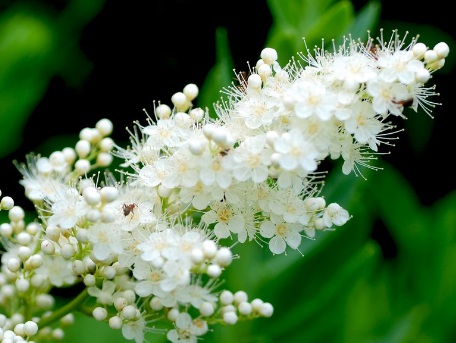 1628861715293783.jpg image.jpg