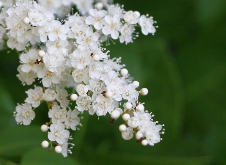 1628861728186255.jpg image.jpg