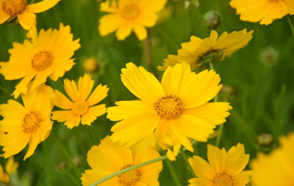 1628938959337504.jpg 1628938959337504.jpg