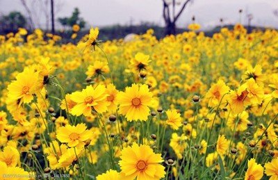 1628938989922199.jpg 1628938989922199.jpg