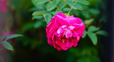 1629027301702896.jpg 1629027301702896.jpg