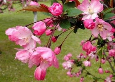 1629027808672849.jpg 1629027808672849.jpg