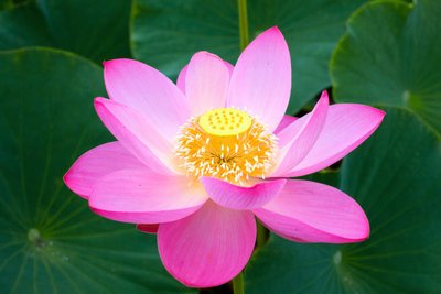 1629114020633200.jpg 1629114020633200.jpg