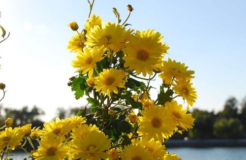 1629122032967108.jpg image.jpg