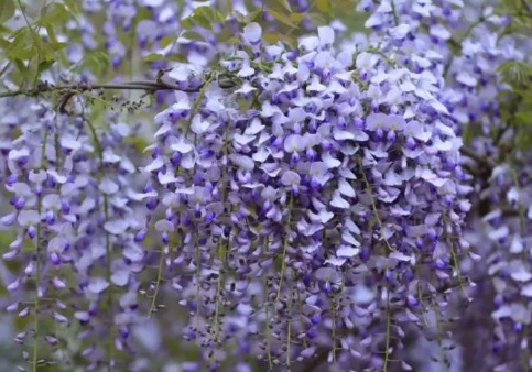 1629124766807861.jpg image.jpg