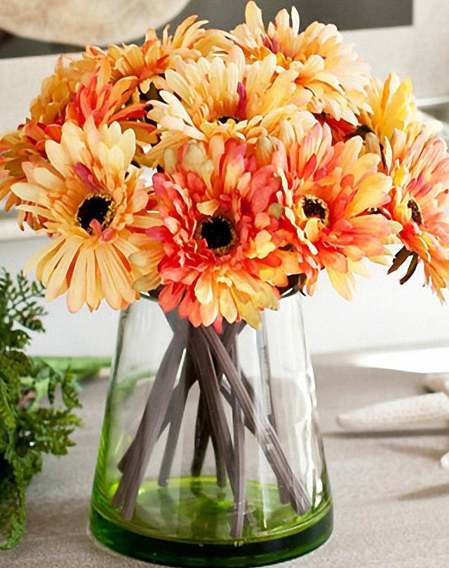 非洲菊當(dāng)盆栽養(yǎng)也很美，花期又長(zhǎng)，花色又多