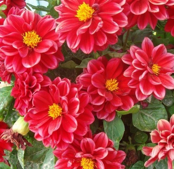 1629201604599664.jpg 1629201601.jpg