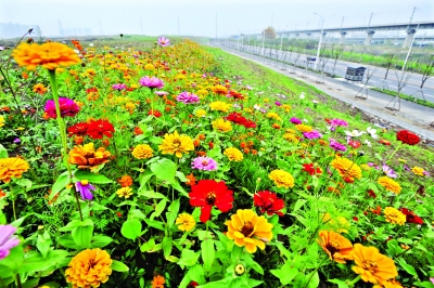 1629216153268762.jpg 1629216153268762.jpg