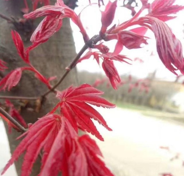 1629241455691312.jpg B){~_MN4[7Q`J@H_%P7DD%L.jpg