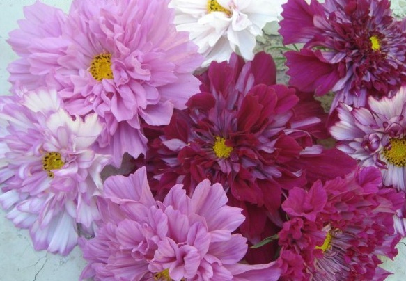 1629264048368262.jpg _`99YEDC@6~(Q}L7~@%I)9R.jpg