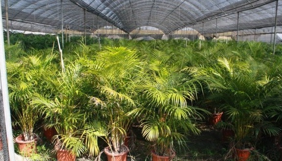 1629266584643708.jpg 5NP{4HRH_URHE5GJWI65Q5W.jpg