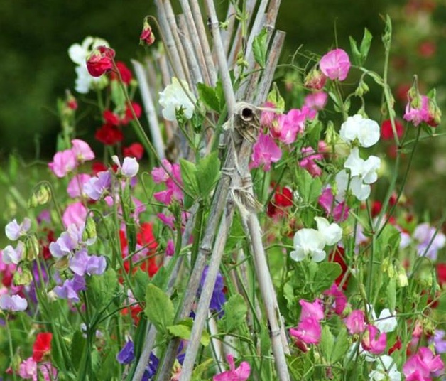 1629267228476991.jpg ~Y}(C7QSGUNH6I(JE[N_W%A.jpg