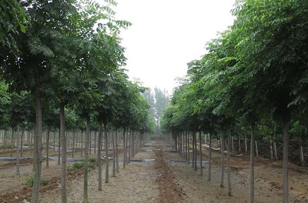 1629267464663044.jpg U[8[SVYSOAF(_$ZP097DY1Y.jpg