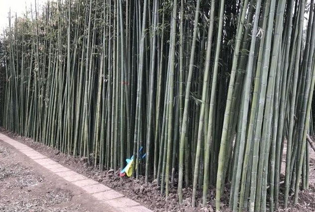 1629268549585841.jpg MCV{FY[~CTSBUY)Q16I$A31.jpg