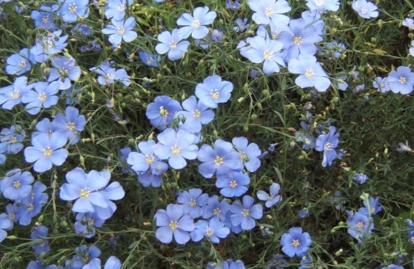 1629270868127347.jpg SJM~4YRW%6V6)KKL8~876KV.jpg