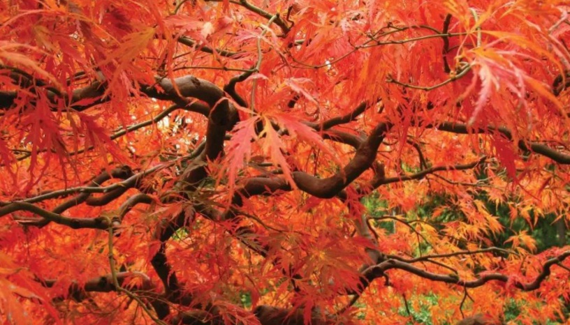 1629272235748405.jpg E3GR0P$7X6J9J5$6O~M7M28.jpg