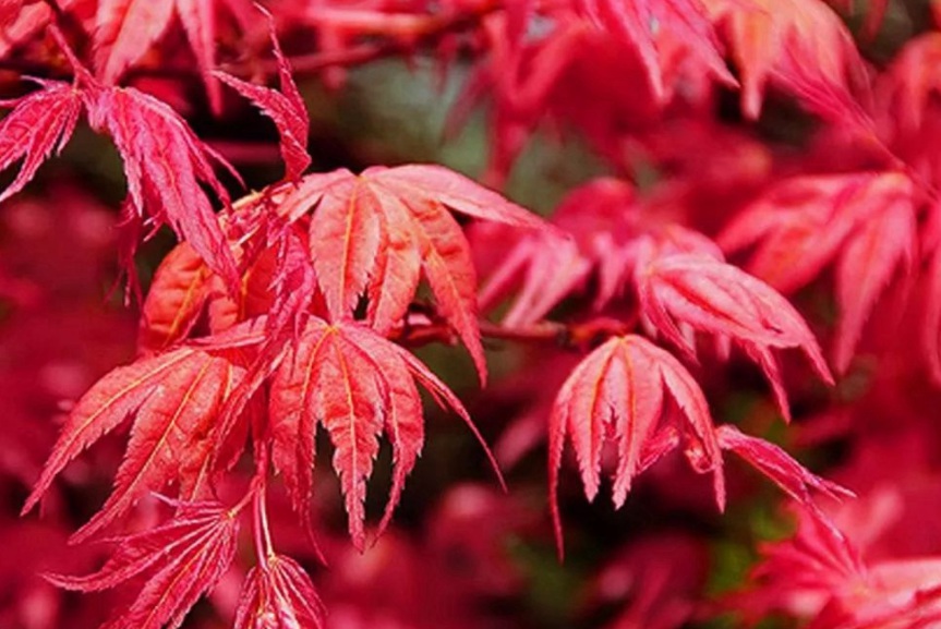 1629272256358081.jpg G4}EAUMW48JRBG$0G0_57UD.jpg