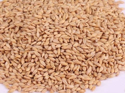 1629335273878520.jpg image.jpg