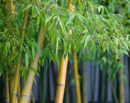 1629370408808366.jpg image.jpg