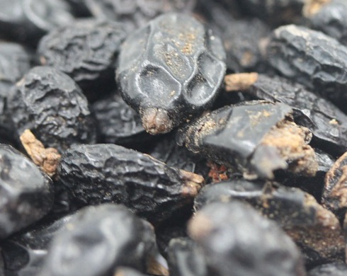 1629371545832884.jpg image.jpg