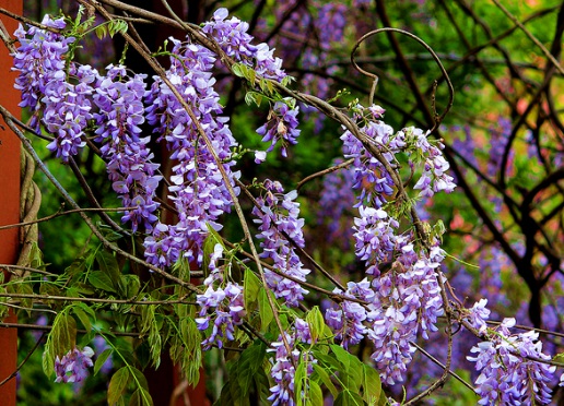 1629470229239515.jpg image.jpg