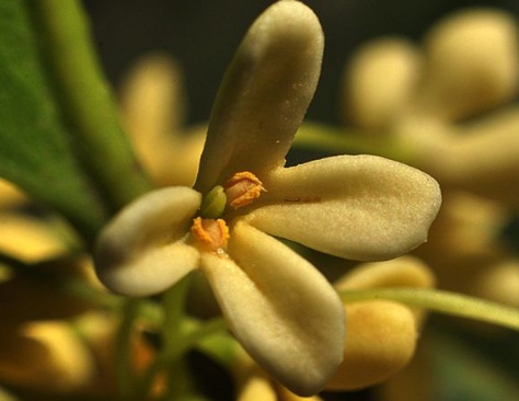 1629550755580871.jpg image.jpg