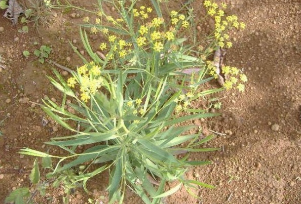 1629599813685811.jpg 5.jpg