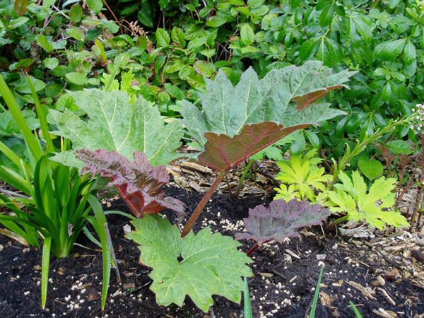 1629600416664994.jpg 9.jpg