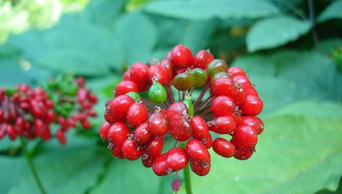 1629631420116976.jpg 1629631420116976.jpg