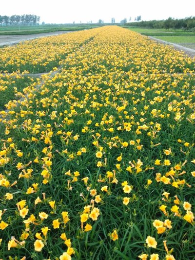 1629687150611597.jpg 1629687150611597.jpg