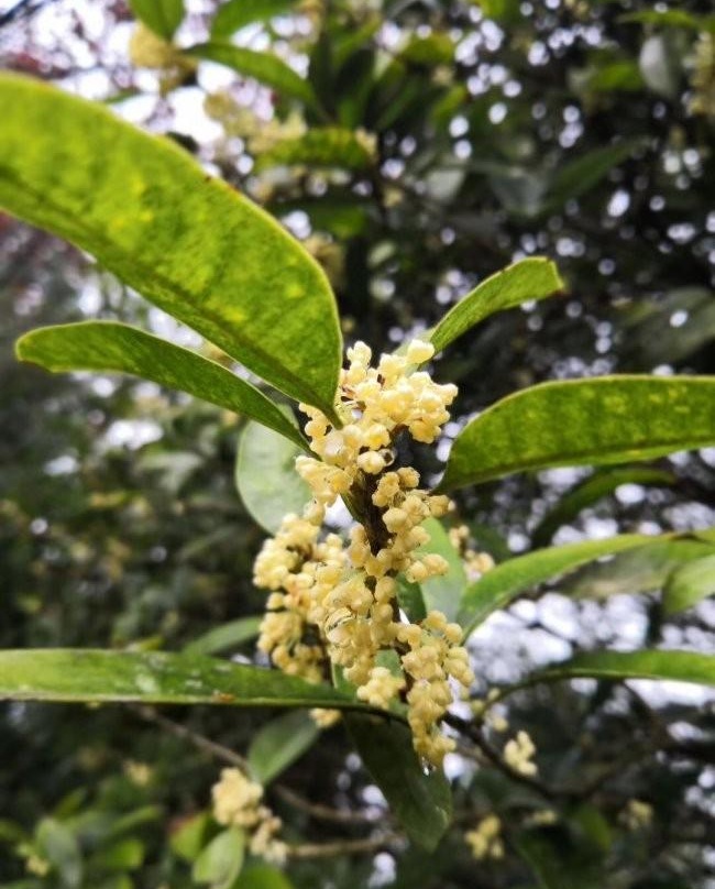 1629812927947595.jpg image.jpg