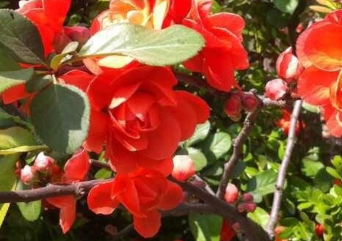 1629880337604808.jpg image.jpg