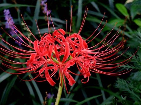 1629880995775252.jpg image.jpg