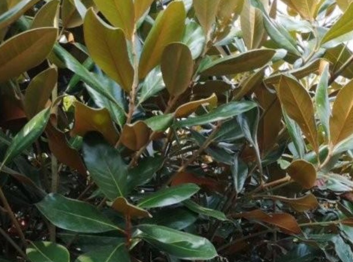 1629881590125006.jpg image.jpg