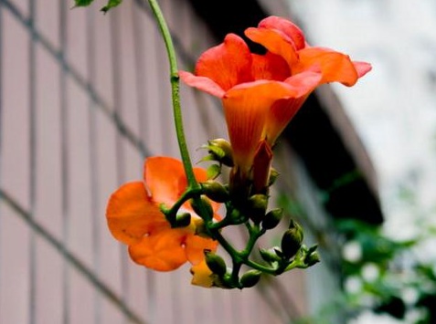 1629881607118051.jpg image.jpg