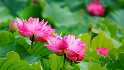 1629889773686084.jpg 1629889773686084.jpg