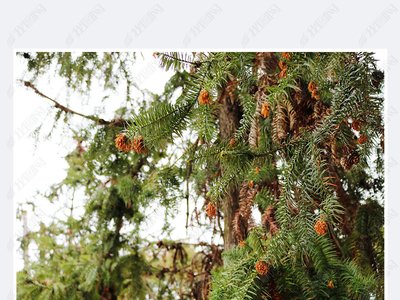 1629893046495472.jpg 1629893046495472.jpg