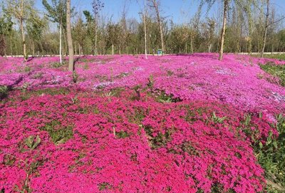 1629894002870646.jpg 1629894002870646.jpg