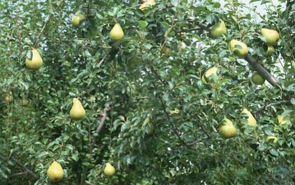 1629947903270324.jpg 1T}6JFEDLUFCB%$575{14)W.jpg