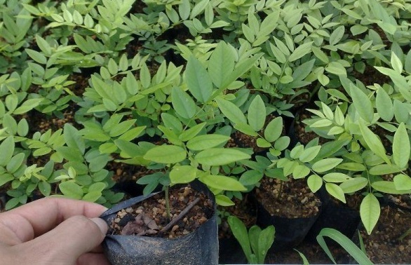 1629947915394570.jpg DVAUCT3RKVPCPYE3{N6DTT0.jpg